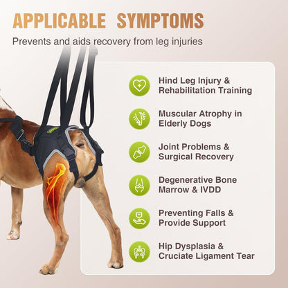 Dog Lift Harness for Large Senior Dogs, Back Leg Walking Aid | Helps Senior Dogs with Weak Back Legs Get Up, Walk, and Climb Stairs with Comfortable Lifting Assistance for Daily Mobility