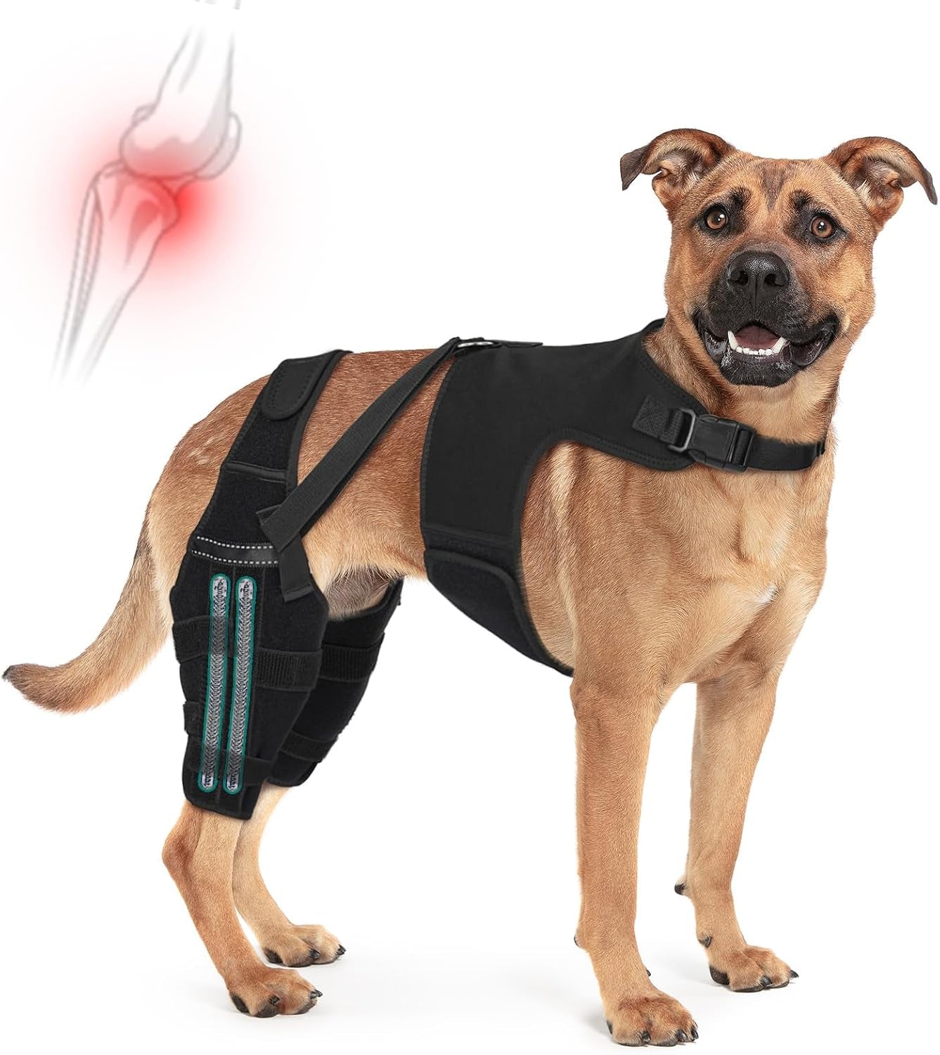 Dog Knee Braces for Torn Acl Hind Leg, Adjustable Joint Brace Non-Slip | Double Leg Support with Vest，Ccl Tear, Arthritis, Patella Luxating Recovery Cruciate Care for Small Medium Large Dog, L