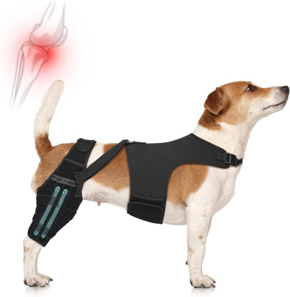 Dog Knee Braces for Torn Acl Hind Leg, Adjustable Joint Brace Non-Slip | Double Leg Support with Vest，Ccl Tear, Arthritis, Patella Luxating Recovery Cruciate Care for Small Medium Large Dog, M