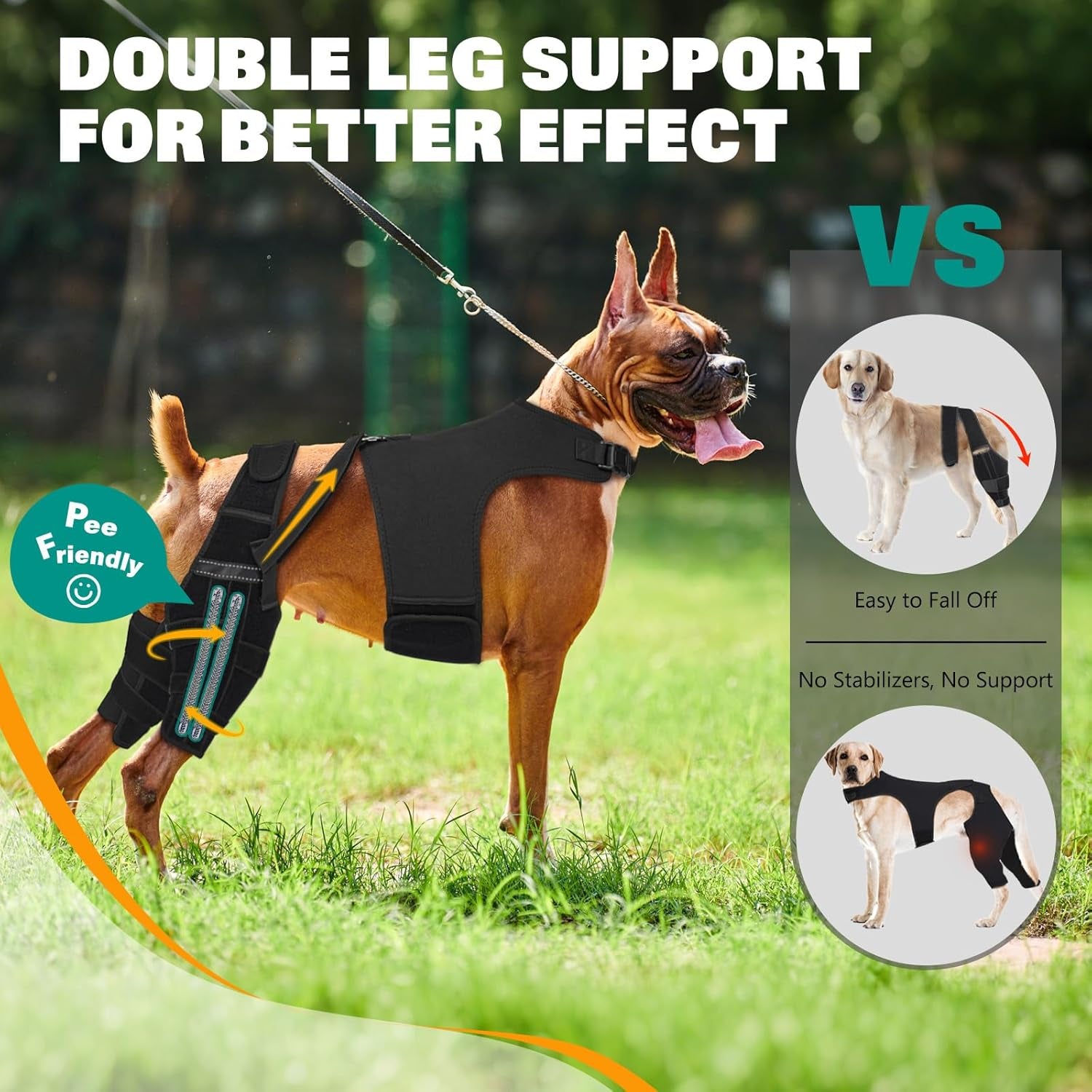 Dog Knee Braces for Torn Acl Hind Leg, Adjustable Joint Brace Non-Slip | Double Leg Support with Vest，Ccl Tear, Arthritis, Patella Luxating Recovery Cruciate Care for Small Medium Large Dog, M