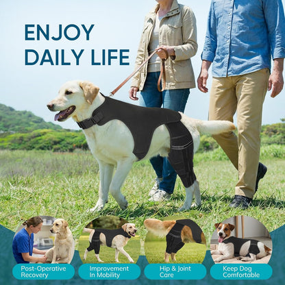 Adjustable Dog Knee Brace for ACL Tear and Arthritis Recovery - Dual Hind Leg Support with Harness Connection - Orthopedic Leg Wrap for Joint Stability and Pain Relief in Small to Large Dog ( (3XL)