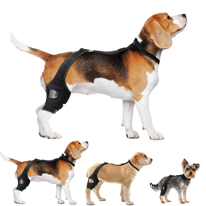 vurfoo Dog Knee Brace for Torn ACL Hind Leg Dog ACL Brace Hind Leg Hip Rear Legs Support Brace Adjustable Dog Brace for ACL Tear Back Leg for Luxating Patella (Large)