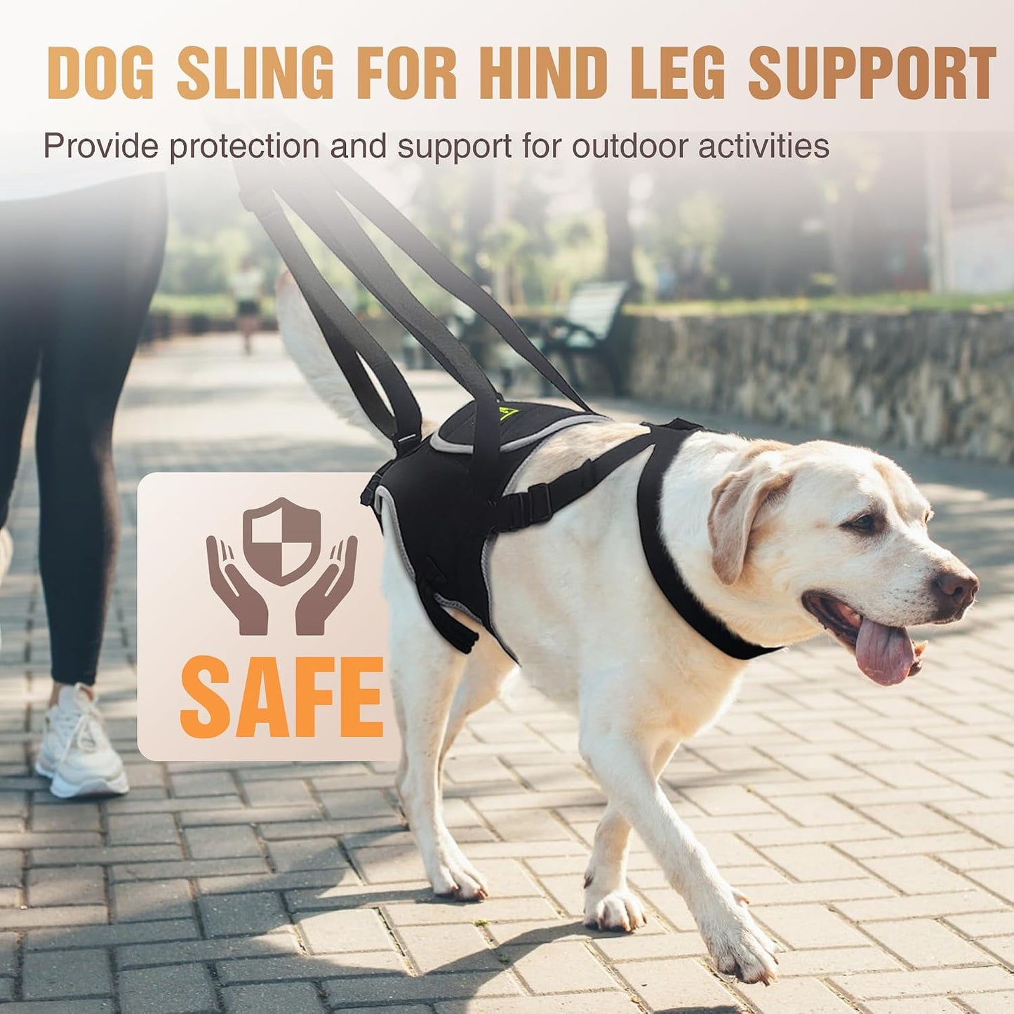 Dog Lift Harness for Large Senior Dogs, Back Leg Walking Aid | Helps Senior Dogs with Weak Back Legs Get Up, Walk, and Climb Stairs with Comfortable Lifting Assistance for Daily Mobility
