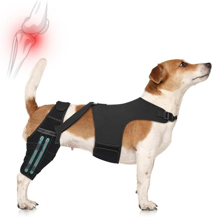 Adjustable Dog Knee Brace for ACL Tear and Arthritis Recovery - Dual Hind Leg Support with Harness Connection - Orthopedic Leg Wrap for Joint Stability and Pain Relief in Small to Large Dog ( (3XL)